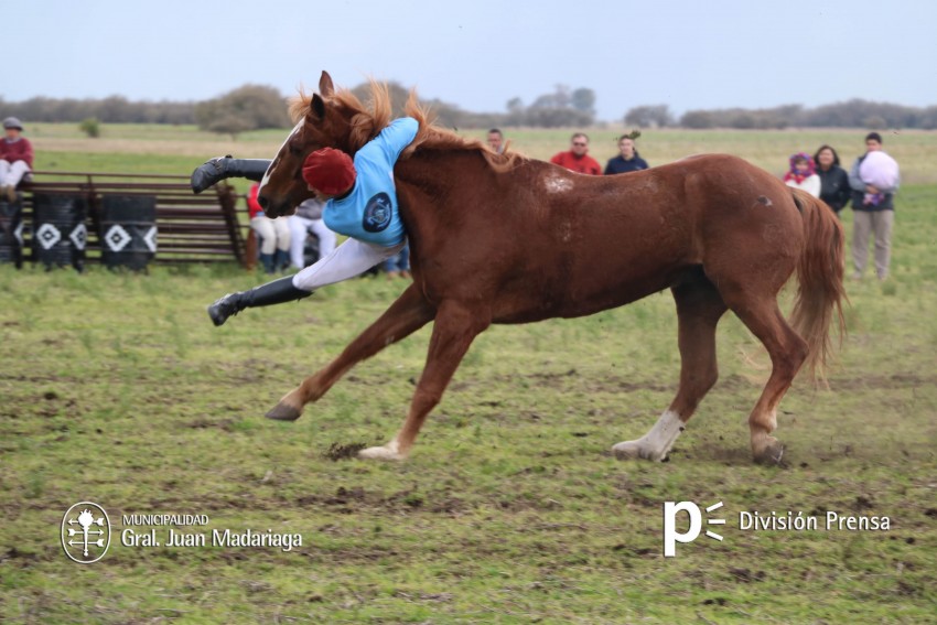 La Escuadra Azul brindó un espectacular show de destreza