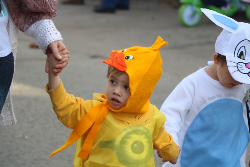 Exitoso cierre de la estudiantina con un gran desfile