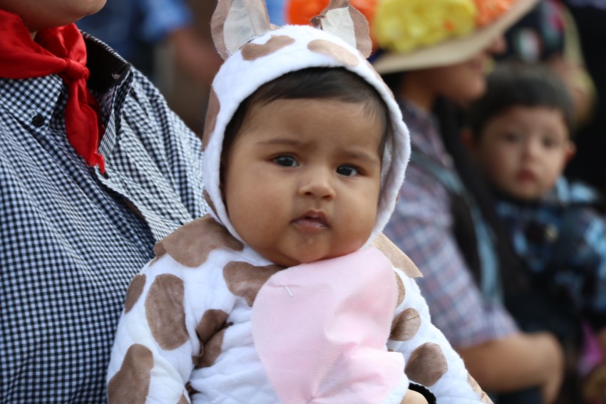 Exitoso cierre de la estudiantina con un gran desfile