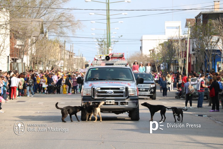 Estudiantina 2016 - �lbum de fotos completo