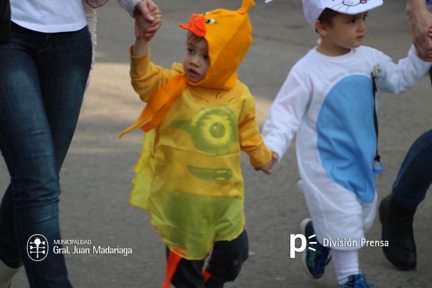 Estudiantina 2016 - �lbum de fotos completo