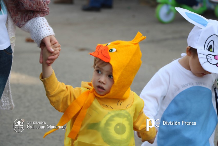 Estudiantina 2016 - �lbum de fotos completo