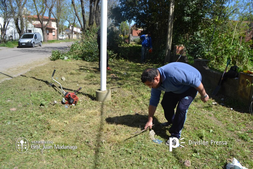 Contina la limpieza de terrenos baldos