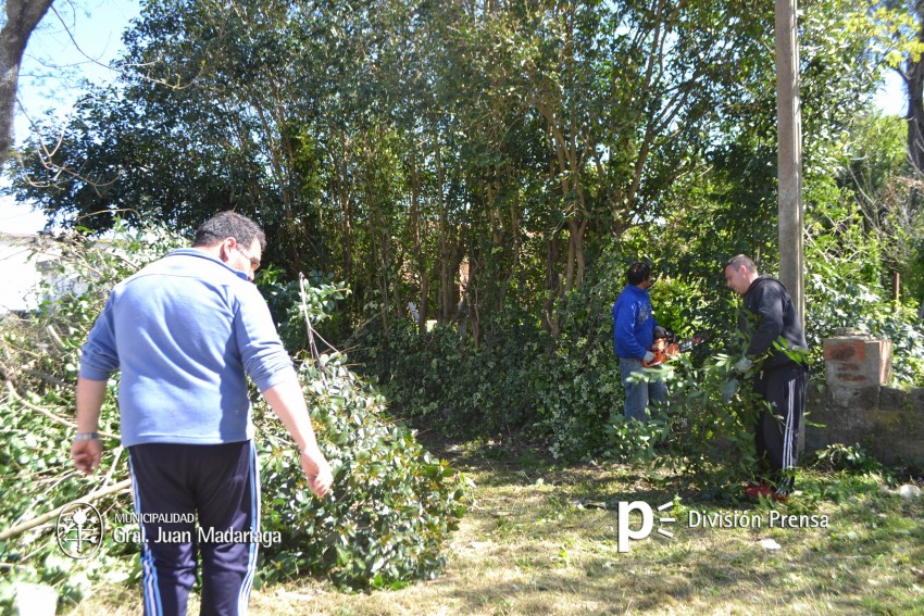 Contina la limpieza de terrenos baldos