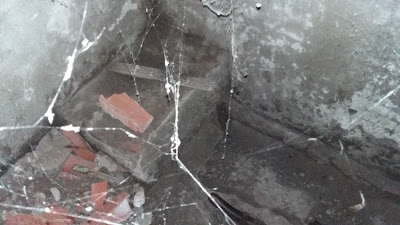 Misterios de Madariaga: El paso de esp�as nazis por �La Federal�