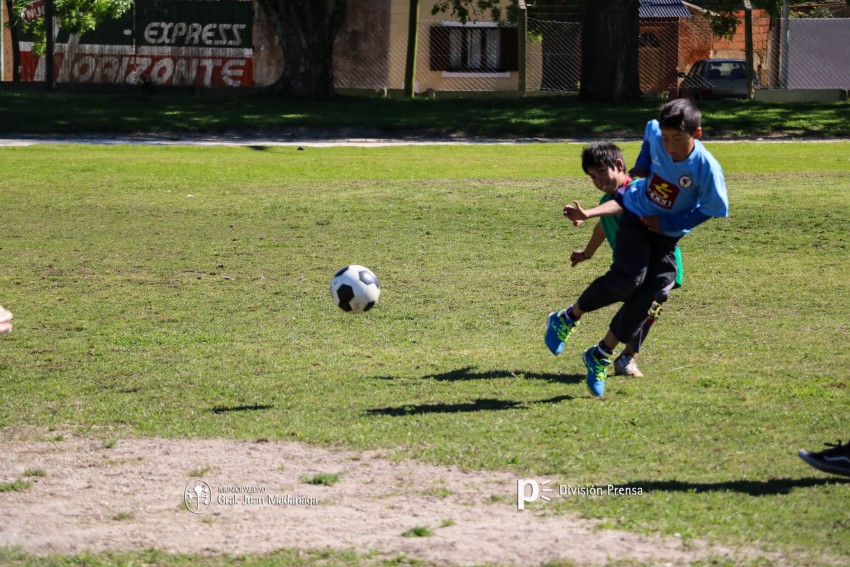 Decenas de ni�os participaron del encuentro de �F�tbol Joven�