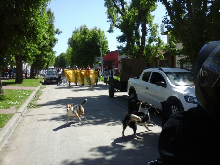 Inspectores de tr�nsito comenzaron con el operativo especial por la Fi