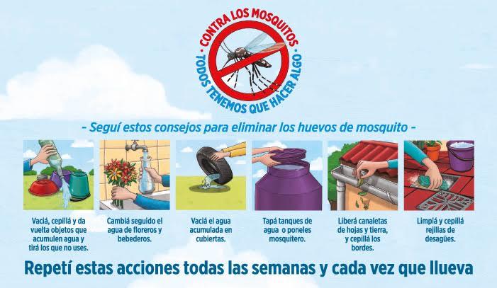 Comienza la campaa preventiva contra el dengue, el zica y chikungunya