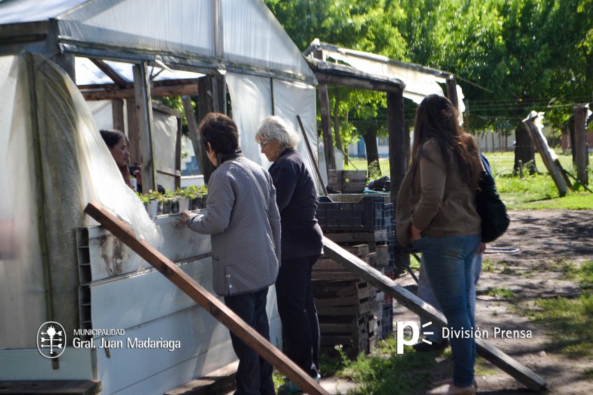El proyecto Mi Huerta de Verano fue un xito