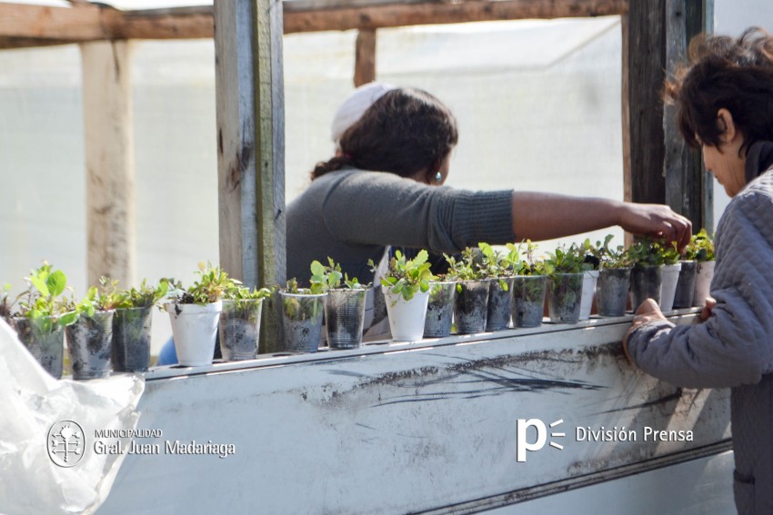 El proyecto Mi Huerta de Verano fue un xito