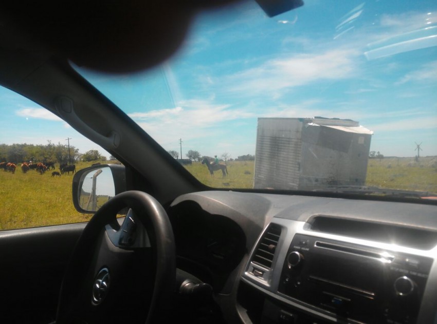 El CPR evit� la usurpaci�n de un campo