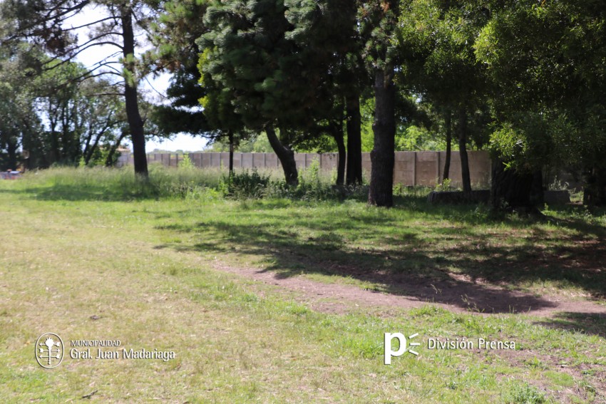 Ya se construy un 70 % del paredn que delimita el predio de Provida