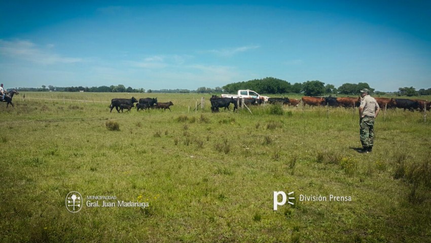 Desalojaron otro potrero usurpado del campo La Madrugada