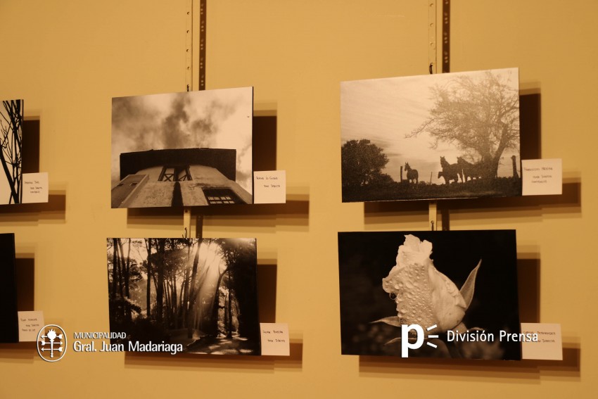 Se inaugur la muestra anual de Bellas Artes