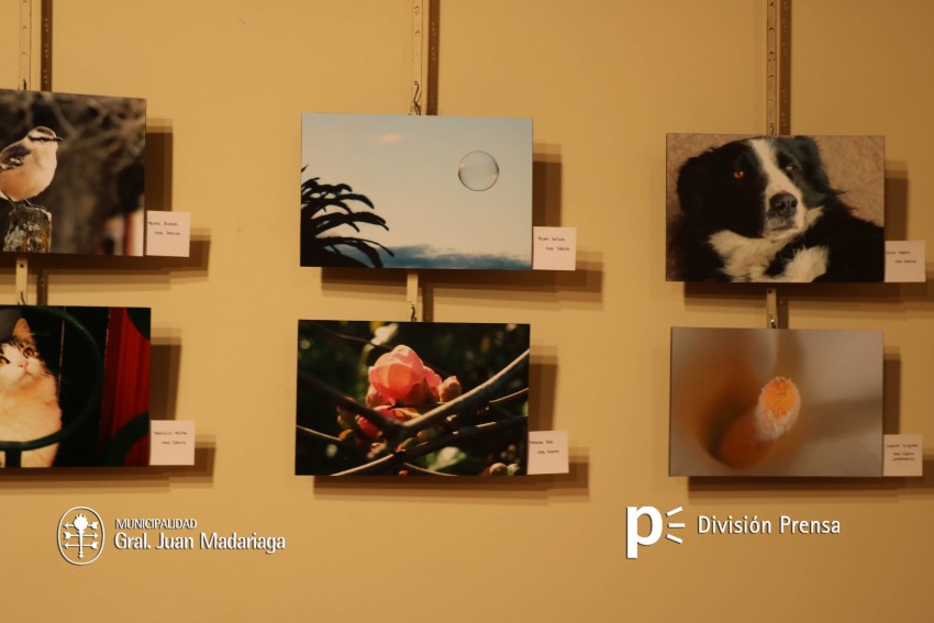 Se inaugur la muestra anual de Bellas Artes