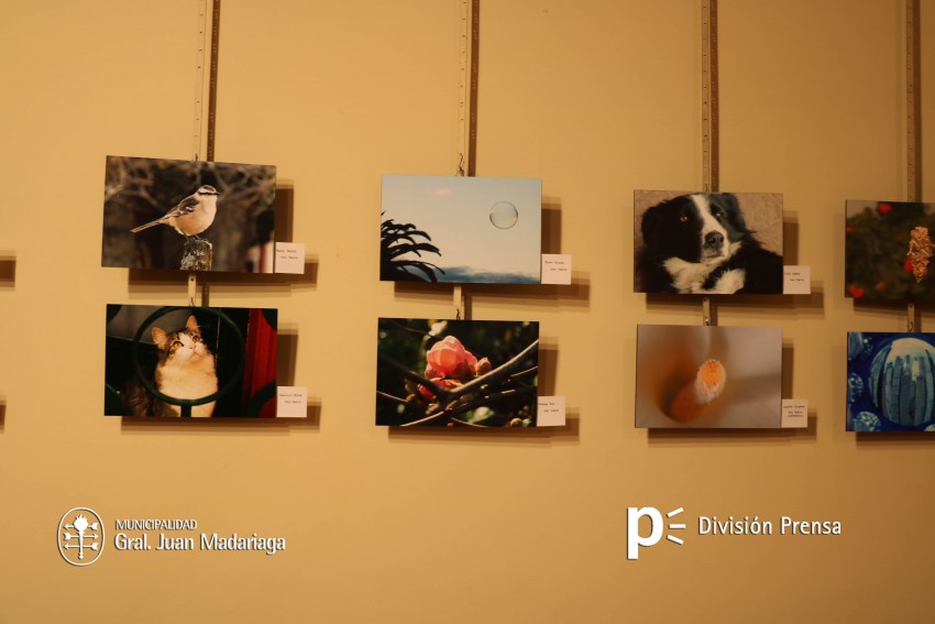 Una alumna y su experiencia en el taller de pintura y dibujo