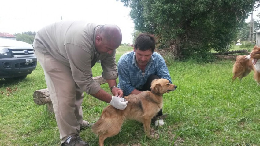 Entregaron semillas del Programa Prohuerta y “pollitos” para la cría d