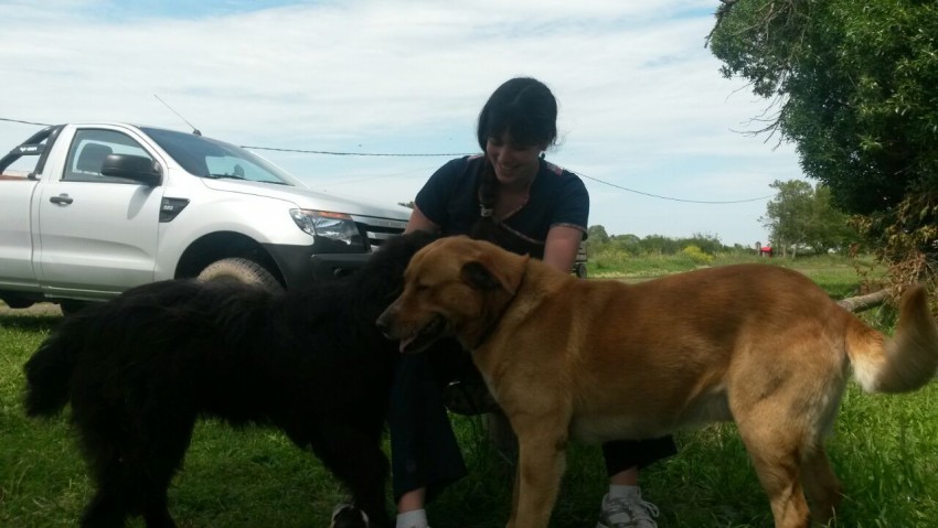 Entregaron semillas del Programa Prohuerta y “pollitos” para la cría d