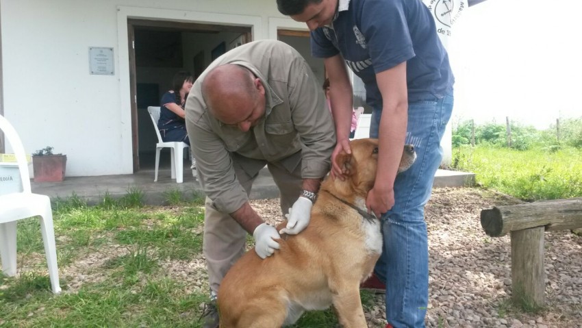 Entregaron semillas del Programa Prohuerta y “pollitos” para la cría d