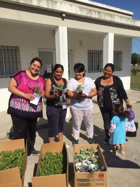 Exitosa entrega de plantines gratuitos en los barrios