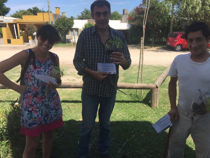 Exitosa entrega de plantines gratuitos en los barrios