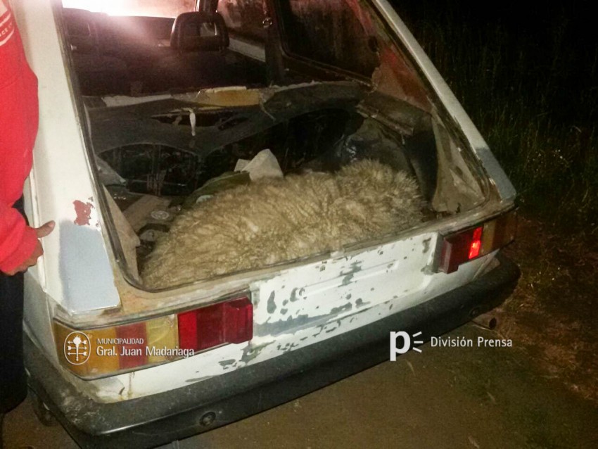 Aprehendieron a 4 personas por abigeato