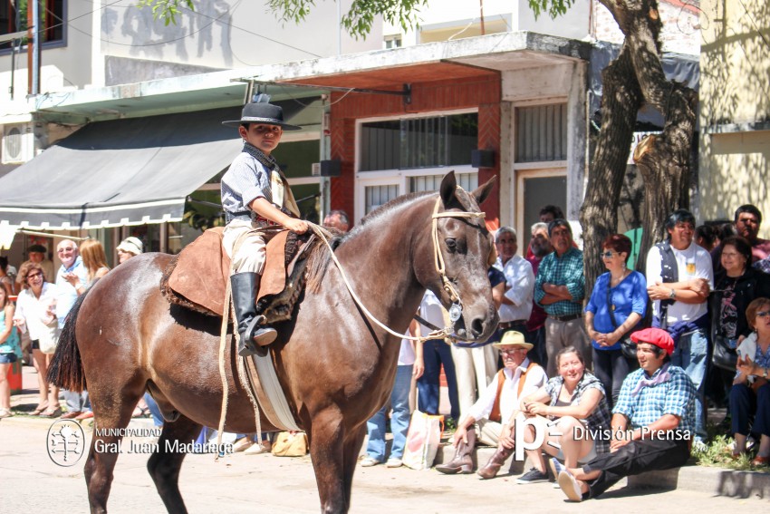 Las mejores fotos del desfile de gala de la Fiesta Nacional del Gaucho