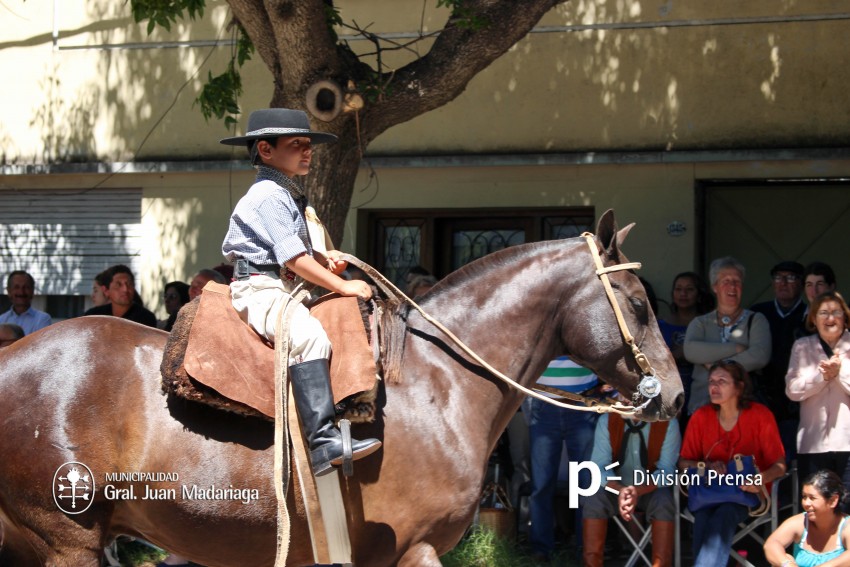 Las mejores fotos del desfile de gala de la Fiesta Nacional del Gaucho