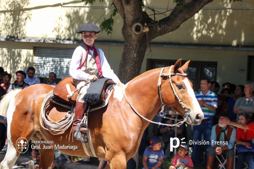 Las mejores fotos del desfile de gala de la Fiesta Nacional del Gaucho