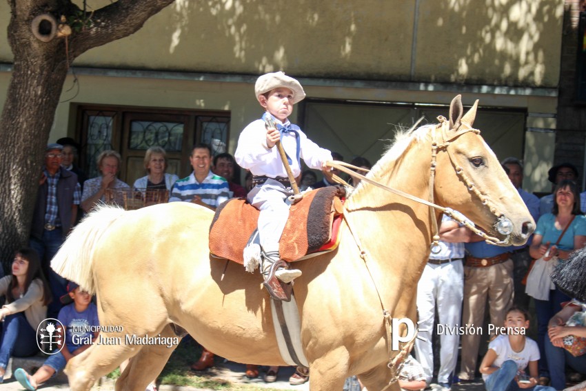 Las mejores fotos del desfile de gala de la Fiesta Nacional del Gaucho