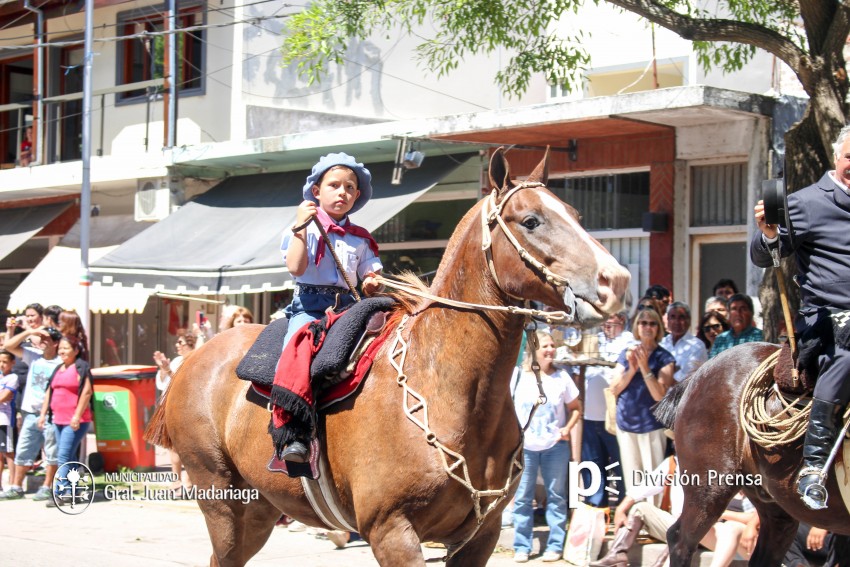 Las mejores fotos del desfile de gala de la Fiesta Nacional del Gaucho
