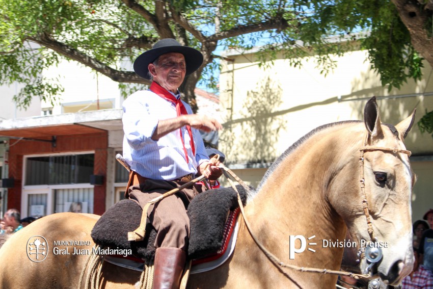 Las mejores fotos del desfile de gala de la Fiesta Nacional del Gaucho