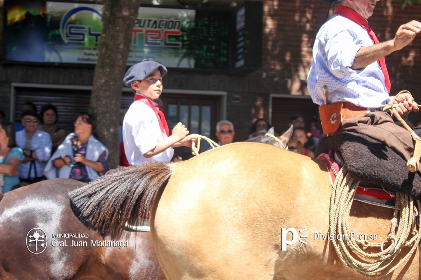 Las mejores fotos del desfile de gala de la Fiesta Nacional del Gaucho