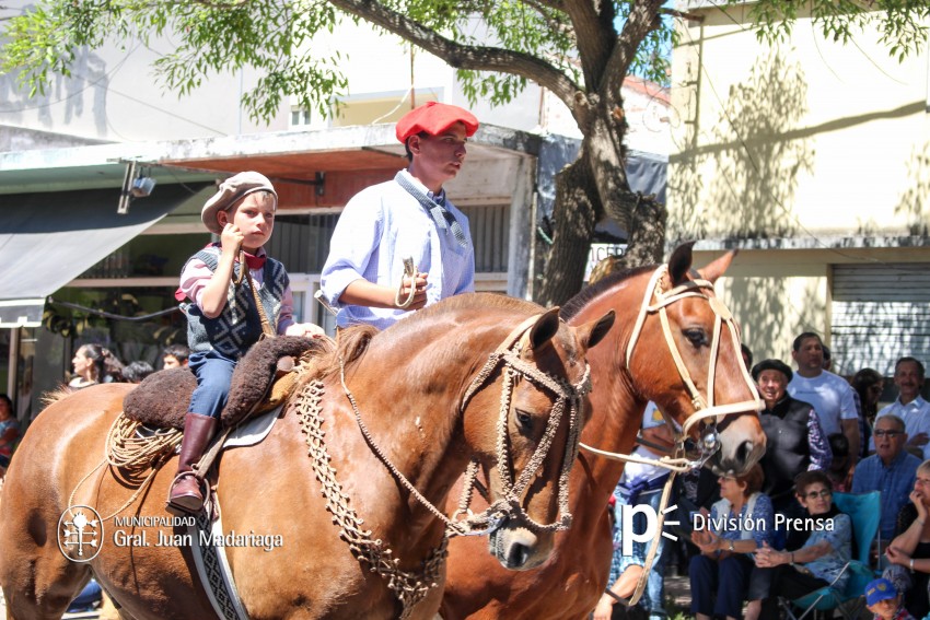 Las mejores fotos del desfile de gala de la Fiesta Nacional del Gaucho
