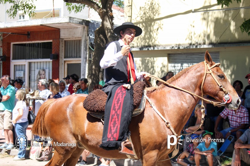 Las mejores fotos del desfile de gala de la Fiesta Nacional del Gaucho