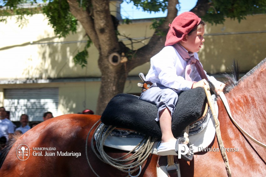 Las mejores fotos del desfile de gala de la Fiesta Nacional del Gaucho