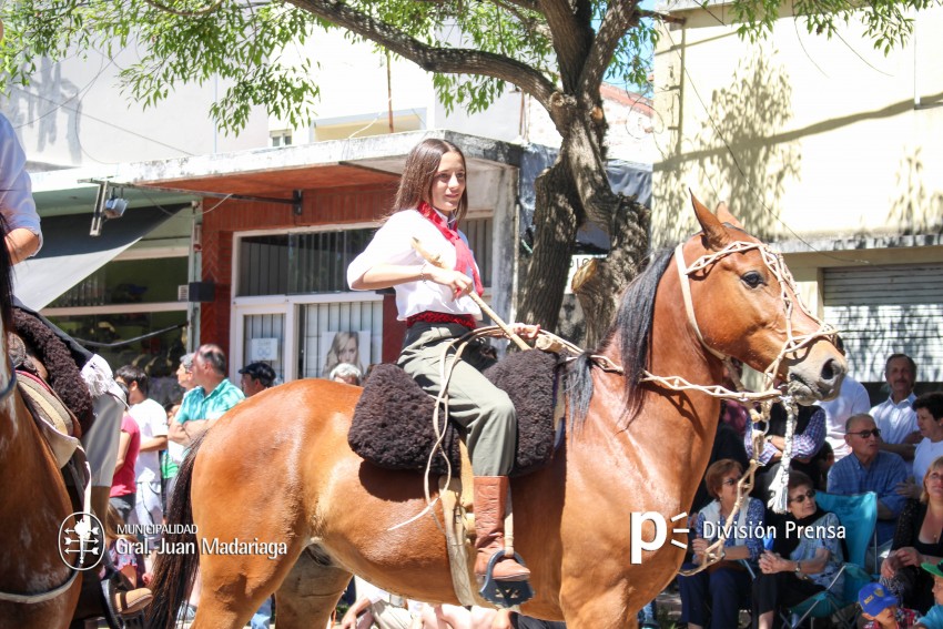Las mejores fotos del desfile de gala de la Fiesta Nacional del Gaucho