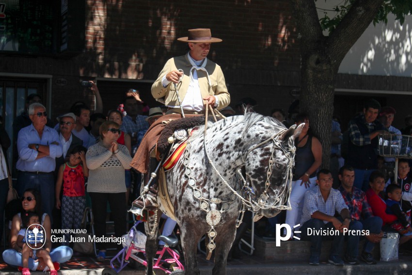 Las mejores fotos del desfile de gala de la Fiesta Nacional del Gaucho