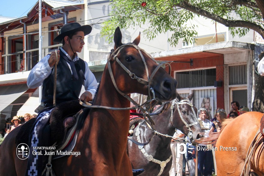 Las mejores fotos del desfile de gala de la Fiesta Nacional del Gaucho