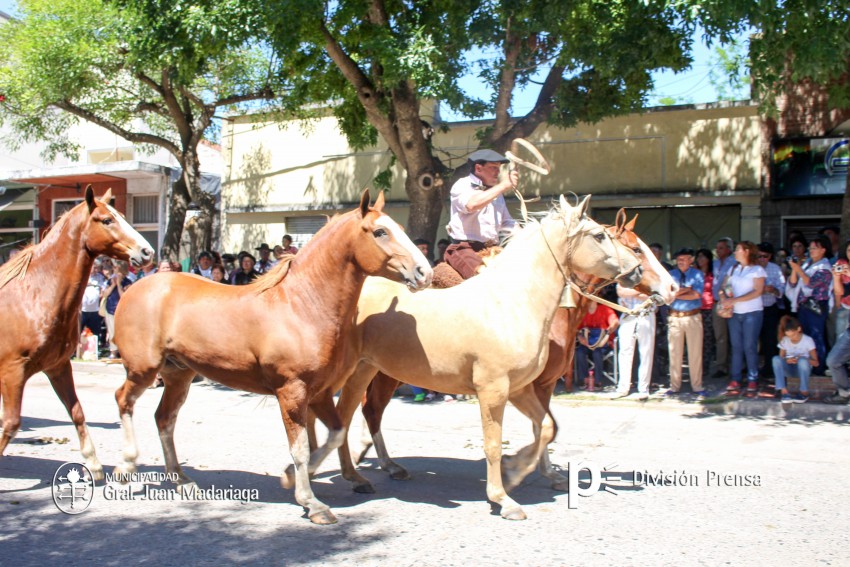 Las mejores fotos del desfile de gala de la Fiesta Nacional del Gaucho