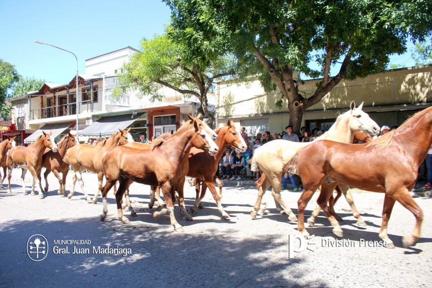 Las mejores fotos del desfile de gala de la Fiesta Nacional del Gaucho