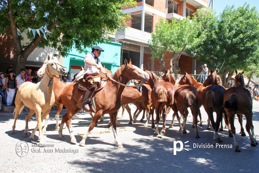 Las mejores fotos del desfile de gala de la Fiesta Nacional del Gaucho