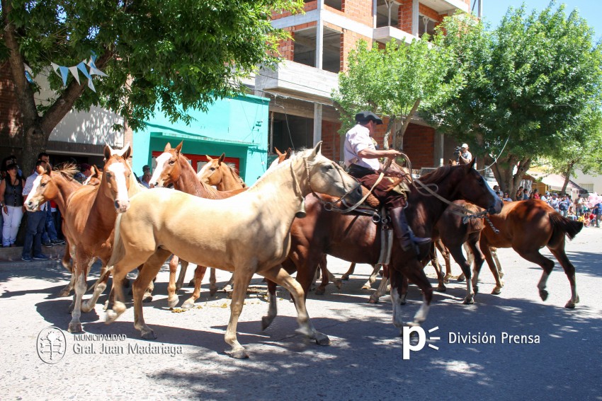 Las mejores fotos del desfile de gala de la Fiesta Nacional del Gaucho