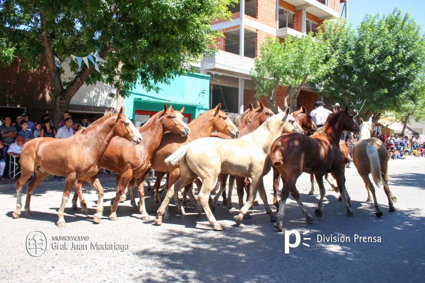 Las mejores fotos del desfile de gala de la Fiesta Nacional del Gaucho
