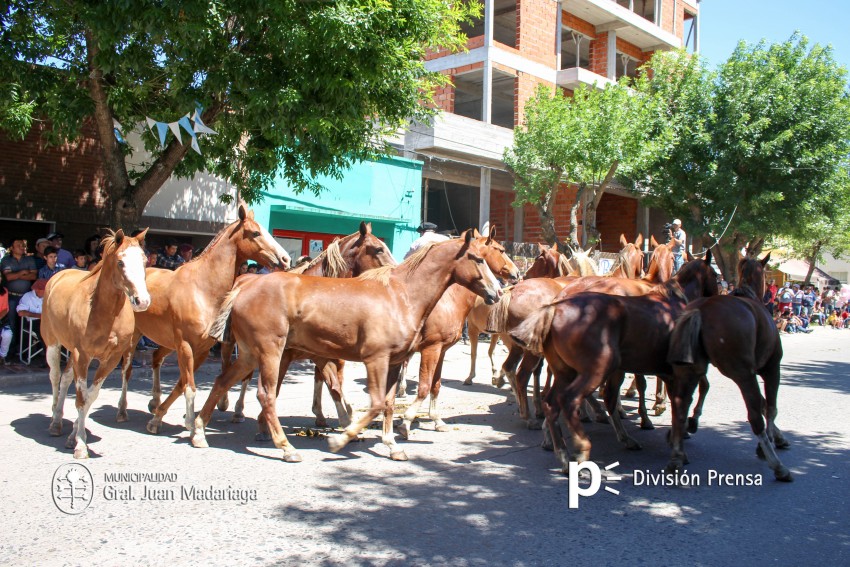 Las mejores fotos del desfile de gala de la Fiesta Nacional del Gaucho