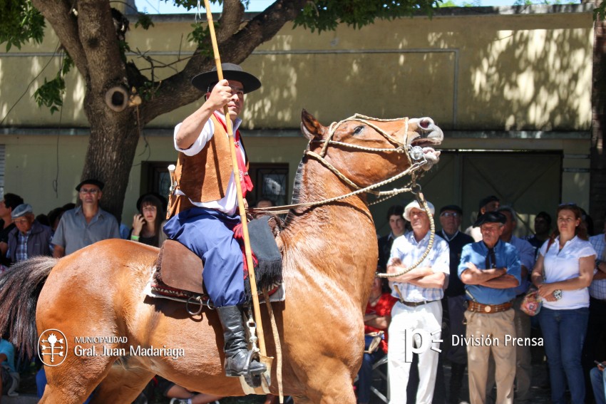 Las mejores fotos del desfile de gala de la Fiesta Nacional del Gaucho