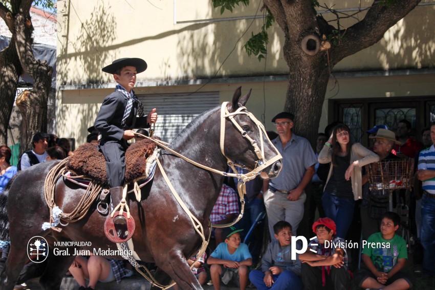 Las mejores fotos del desfile de gala de la Fiesta Nacional del Gaucho