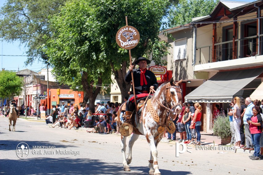 Las mejores fotos del desfile de gala de la Fiesta Nacional del Gaucho
