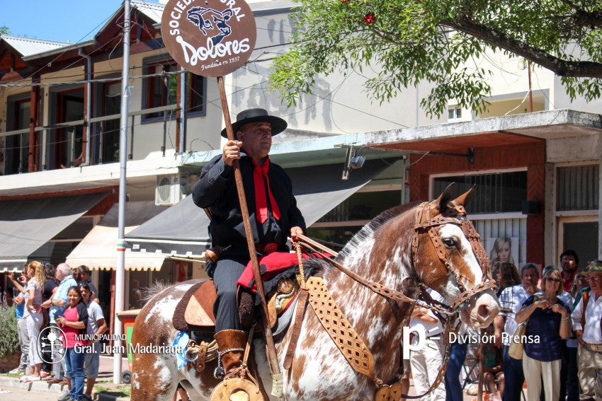 Las mejores fotos del desfile de gala de la Fiesta Nacional del Gaucho
