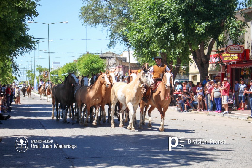 Las mejores fotos del desfile de gala de la Fiesta Nacional del Gaucho